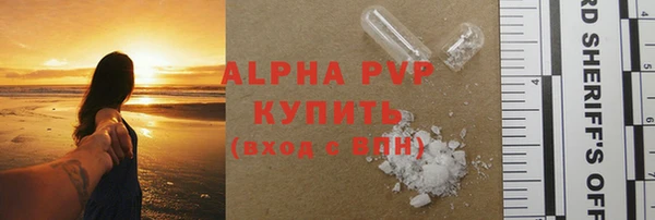 стаф Карпинск
