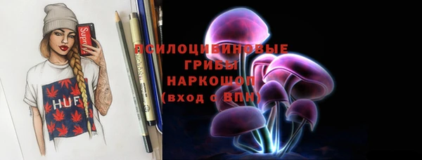 стаф Карпинск