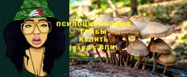 шишки Карталы