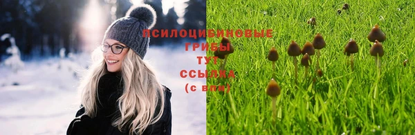 стаф Карпинск