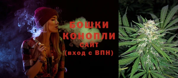 стаф Карпинск