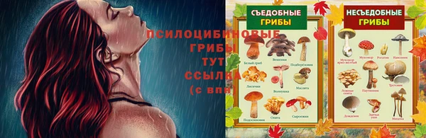 шишки Карталы