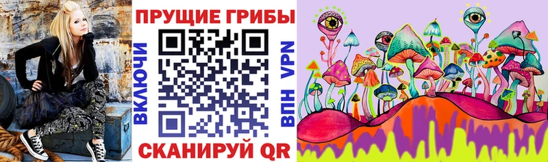 Купить  Набережные Челны  Галлюциногенные грибы GOLDEN TEACHER 